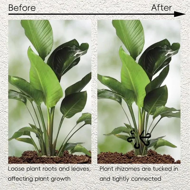 Stem Support Alocasia Monstera - Vine Climbing Plastic recension och pris
