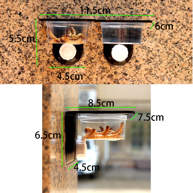 Reptile Tank Accessories Insec - Water Dish Reptile recension och pris