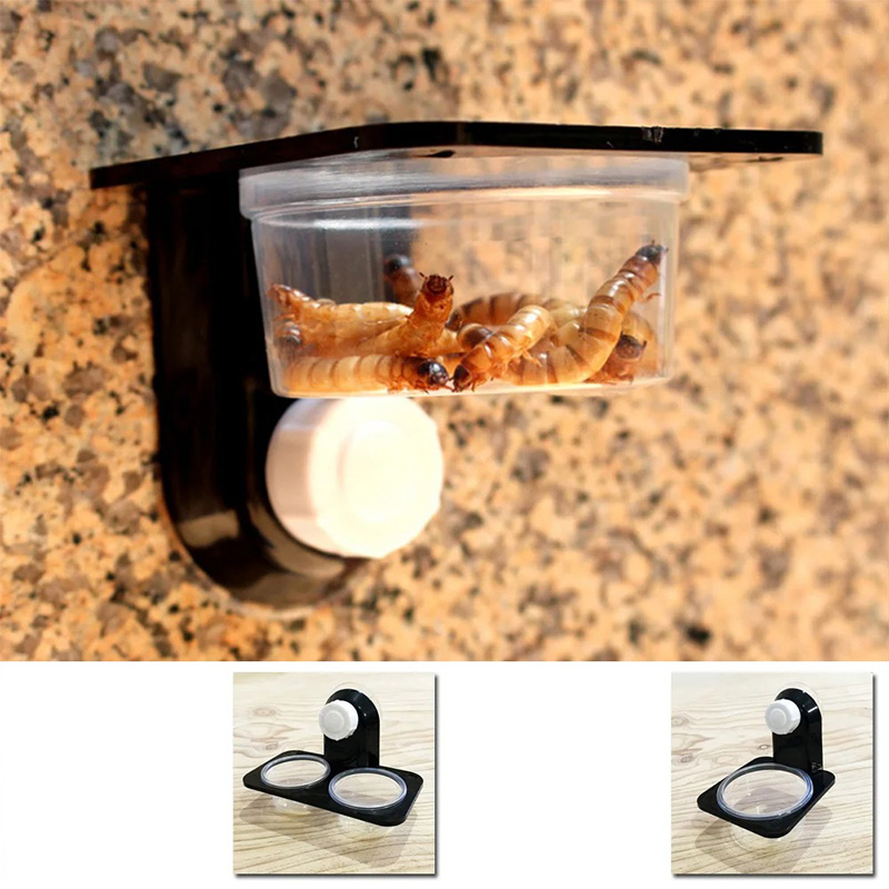 Reptile Tank Accessories Insec - Water Dish Reptile recension och pris