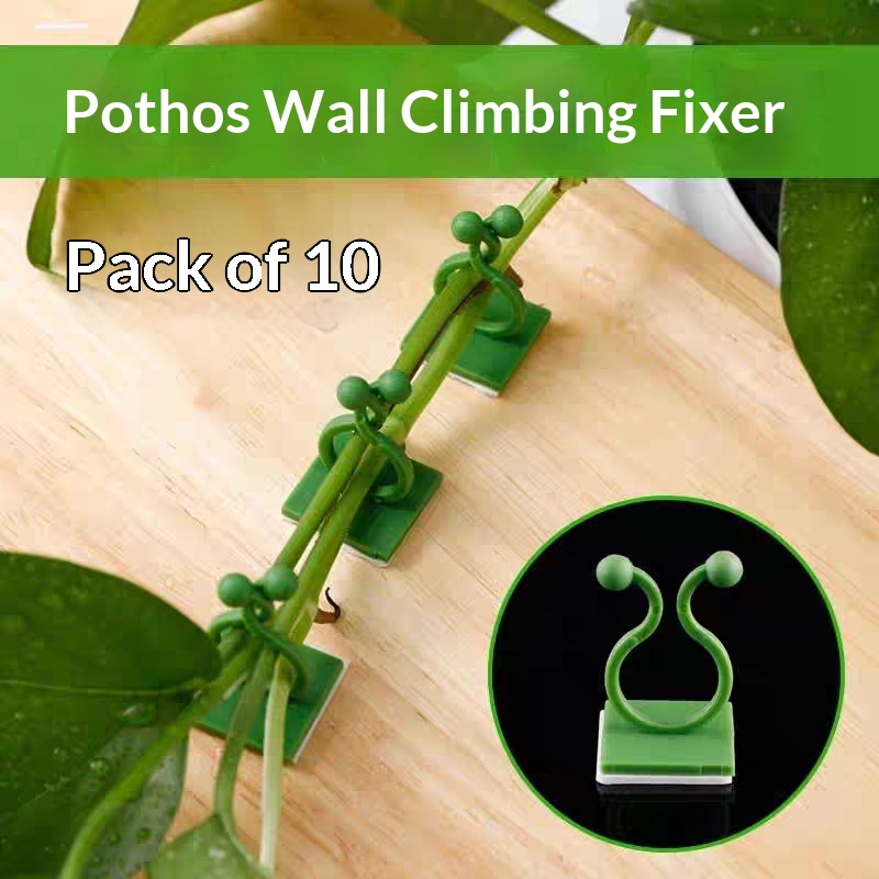 Self‑Adhesive Plant Climbing W - Vine Climbing Plastic recension och pris