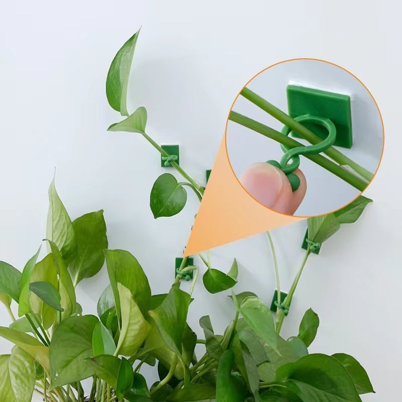 Self‑Adhesive Plant Climbing W - Vine Climbing Plastic recension och pris